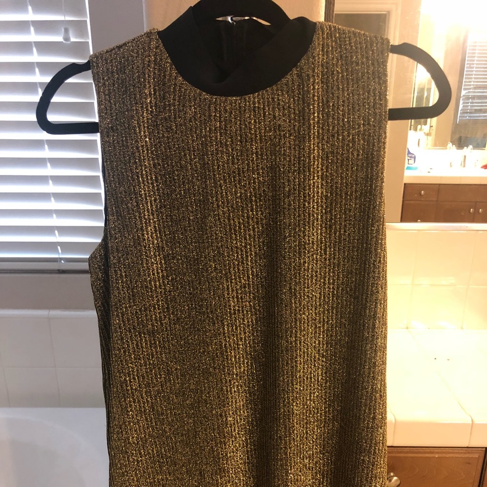 Gold Zara Dress